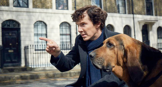 Sherlock-cane