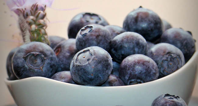 blueberries-1426866_1280