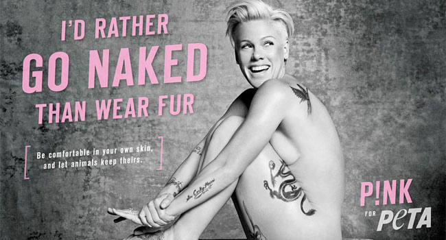 p!nk-peta-2015