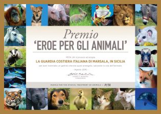 UK_Hero-To-Animals-Award_Italian_A4_300