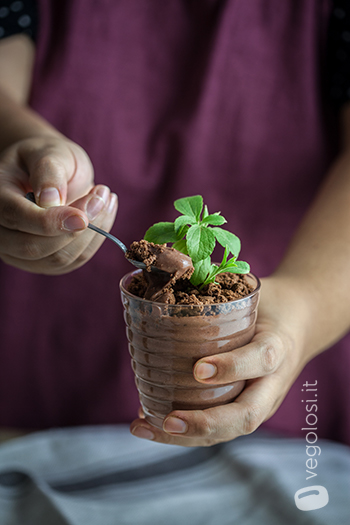 Budino vegano al cioccolato