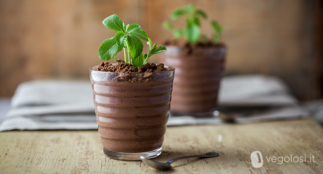 Budino vegano al cioccolato