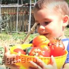 Bambini vegani sani