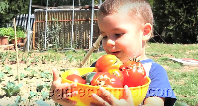 Bambini vegani sani