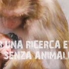 Ricerca scientifica senza animali