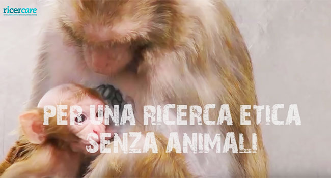 Ricerca scientifica senza animali