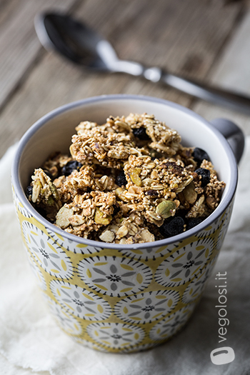 Granola vegan