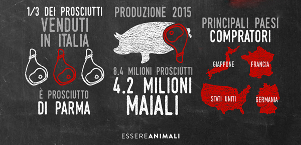 Maiali maltrattati prosciutto di Parma