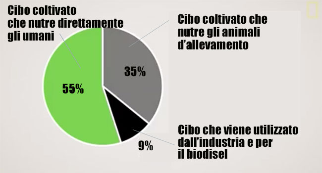 grafico_2