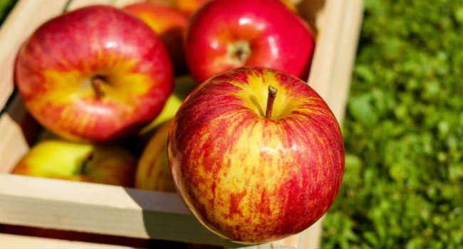 apple-red-fruit-ripe-144245