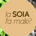 La soia fa male