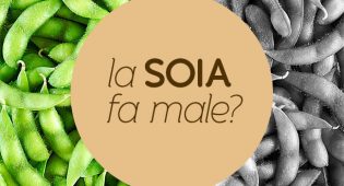 La soia fa male