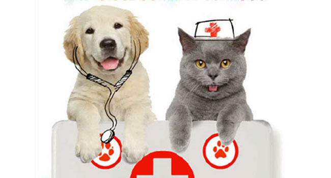 Pronto soccorso cani e gatti libro