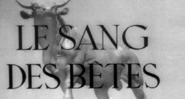 Le Sang des Betes - documentario