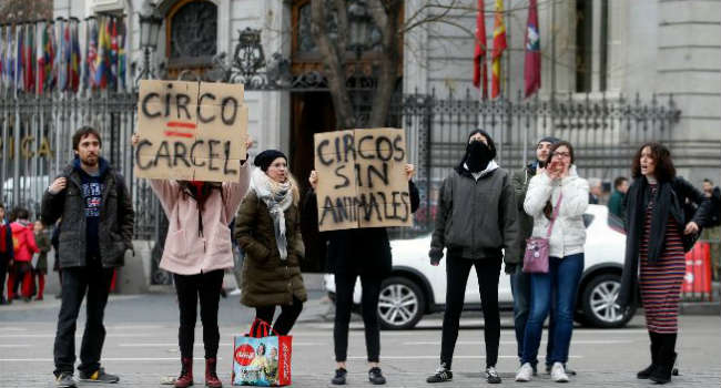 proteste animalisti circo