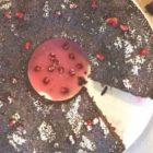 torta cioccolato e melagrana vegan