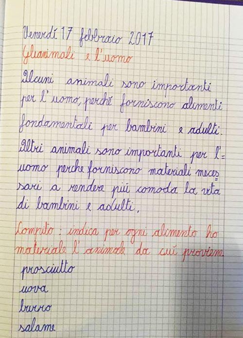 COmpito scuola animali