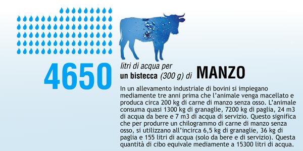 Quanta acqua per 1 bistecca