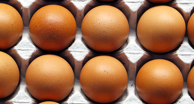 Perché i vegani non mangiano le uova