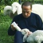 Berlusconi agnello