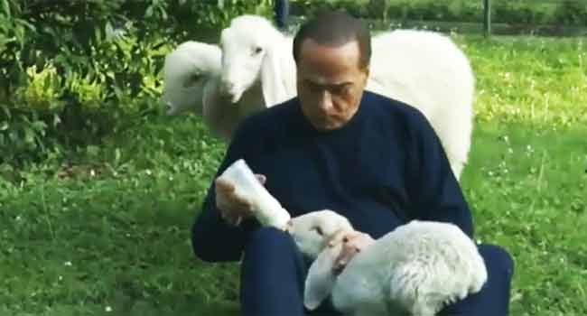 Berlusconi agnello