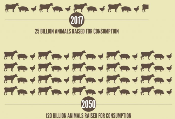 slow food meno carne