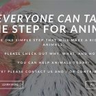 Non mangiare pollo