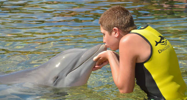 delfino e bambino