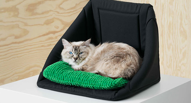 Ikea cani e gatti