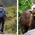 Orso_escursionista Trento attacco