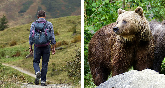 Orso_escursionista Trento attacco