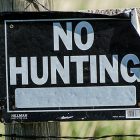 Stop caccia