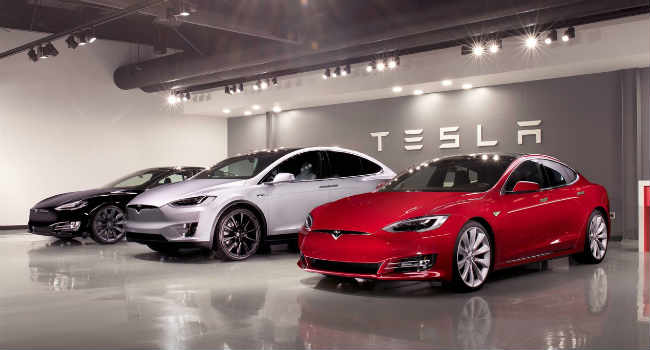 tesla interni vegan