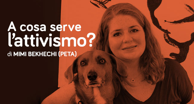 attivismo peta