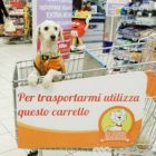 animali-nei-supermercatia