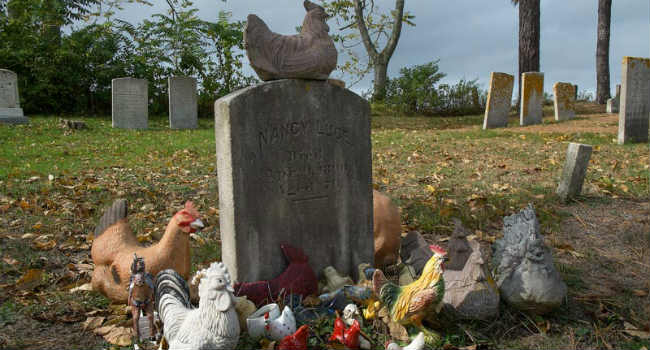 tomba signora delle galline