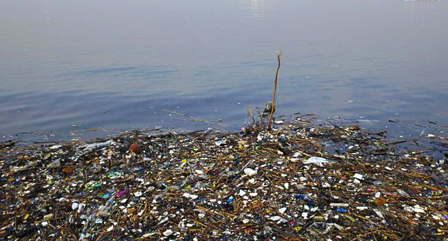 Pacific Trash Vortex - isola di plastica