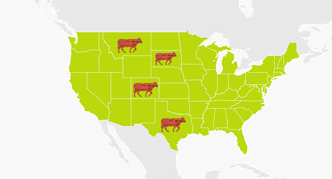 Usa emissioni gas serra carne