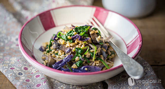 Avena con verdure miste al mirto