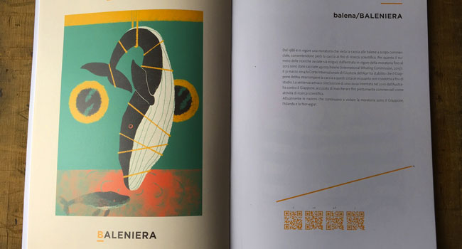 balena e baleniere-abbecedario