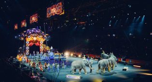 Circo- abolizione uso animali