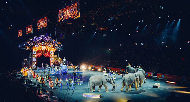 Circo- abolizione uso animali