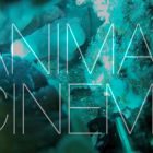 locandina-animal-cinema