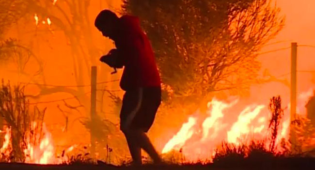 Uomo salva coniglio da incendio