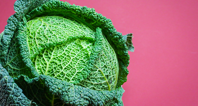 Prevenzione cancro al seno alimentazione vegetale