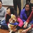 Cina benessere animale scuole