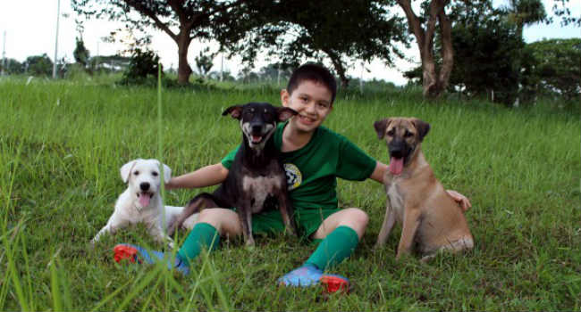 bambino filippine rifugio animali