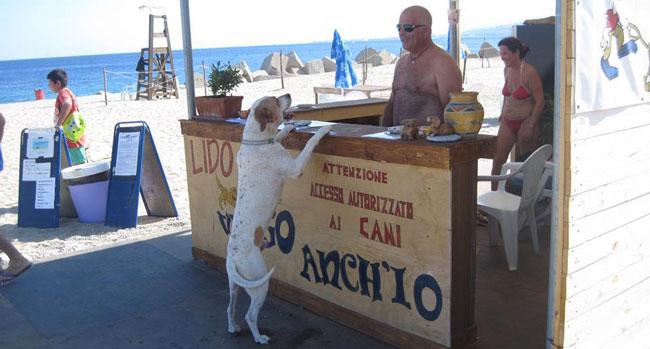 spiaggia-cani-messina