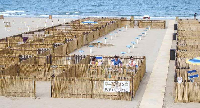 spiaggia-per-cani--rimini