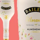 Baileys vegano Italia